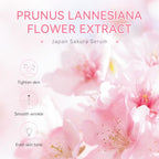 Sakura Whitening Face Serum anti Aging Fade Fine Lines Tighten Pores Improve Melanin Pigment Dull Moisturizer Brighten Skin Care